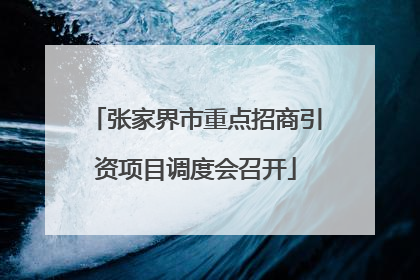 张家界市重点招商引资项目调度会召开